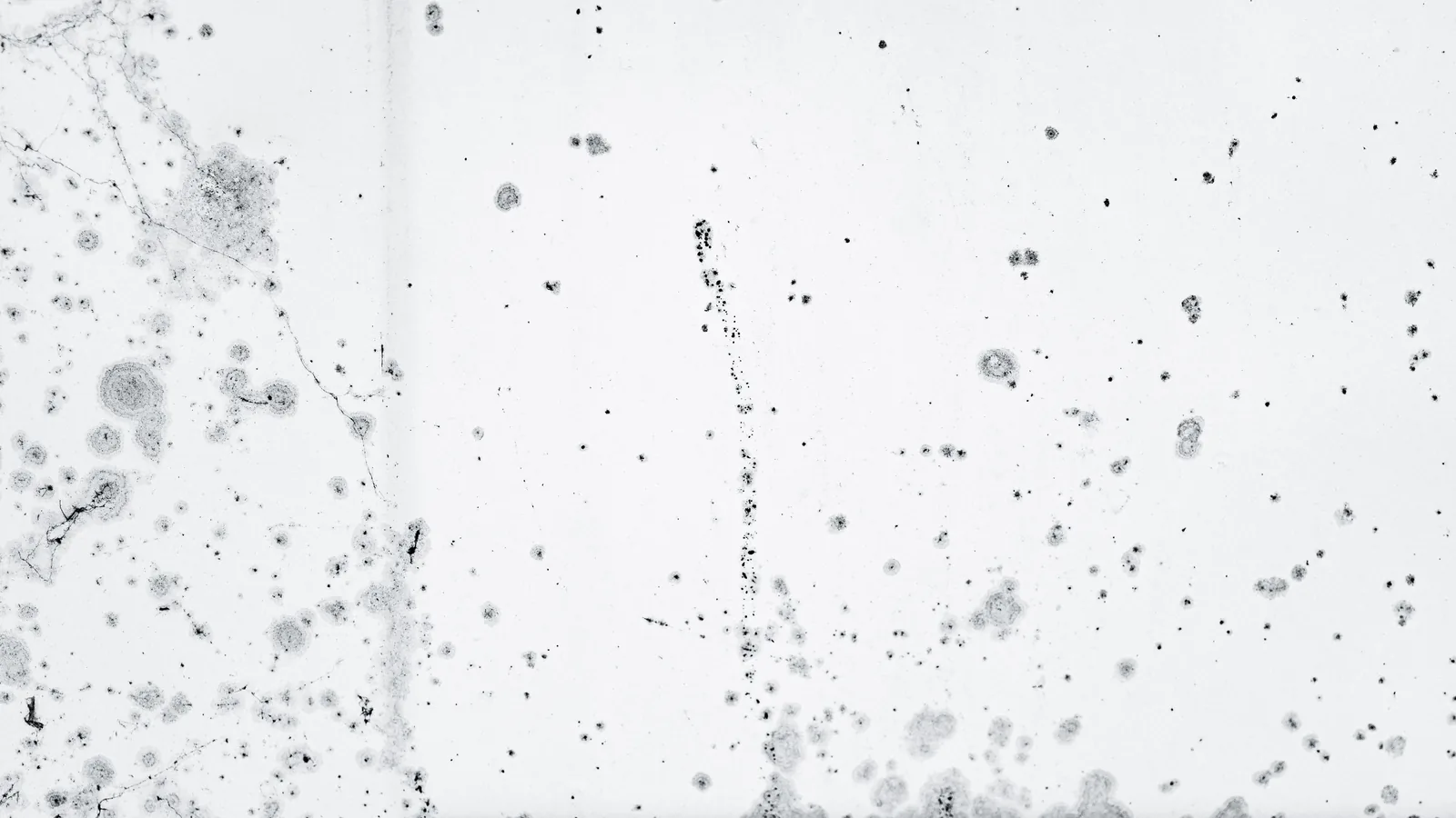 Dark spots on a white surface