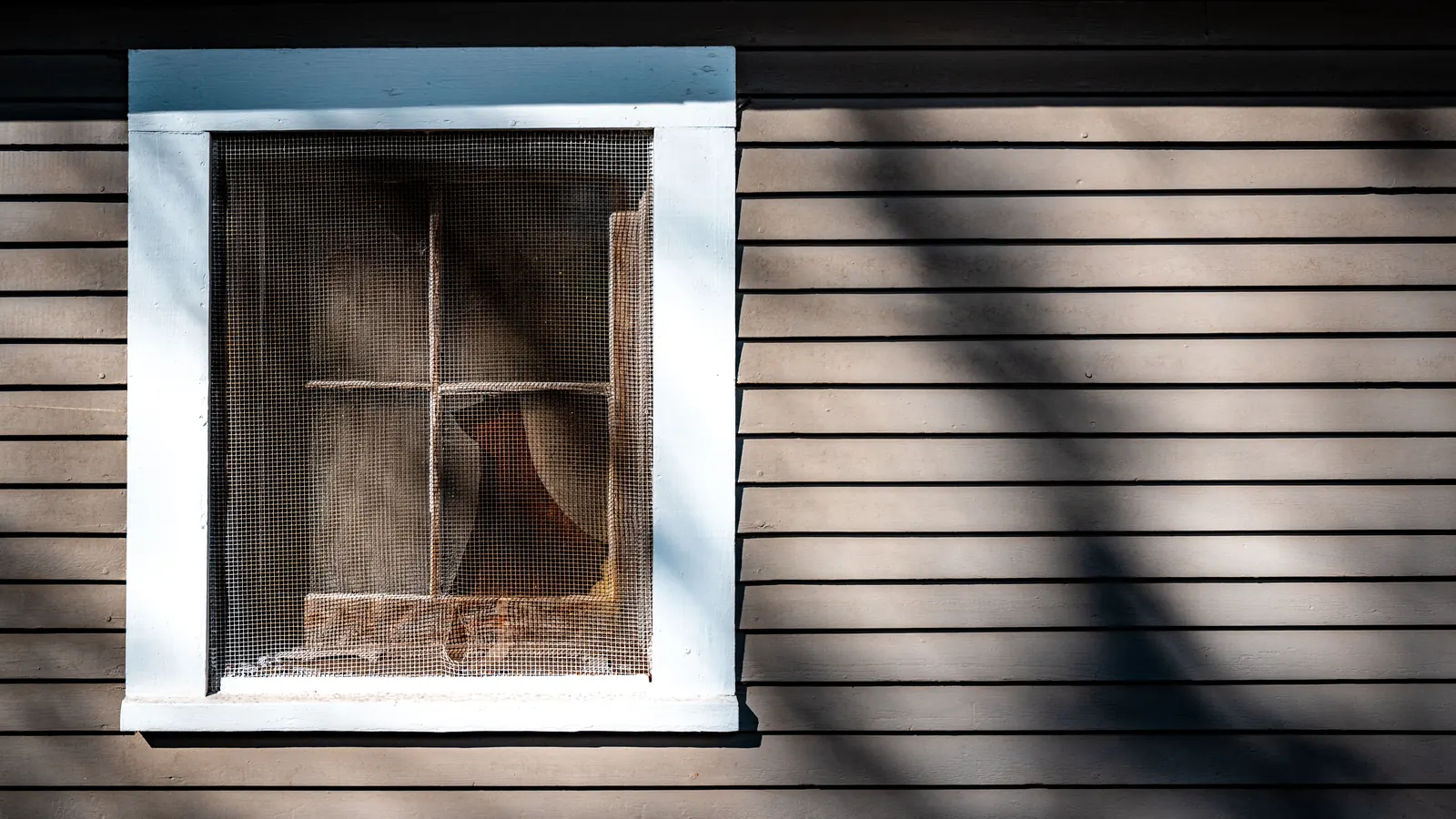 A window screen in a pale frame on wood siding