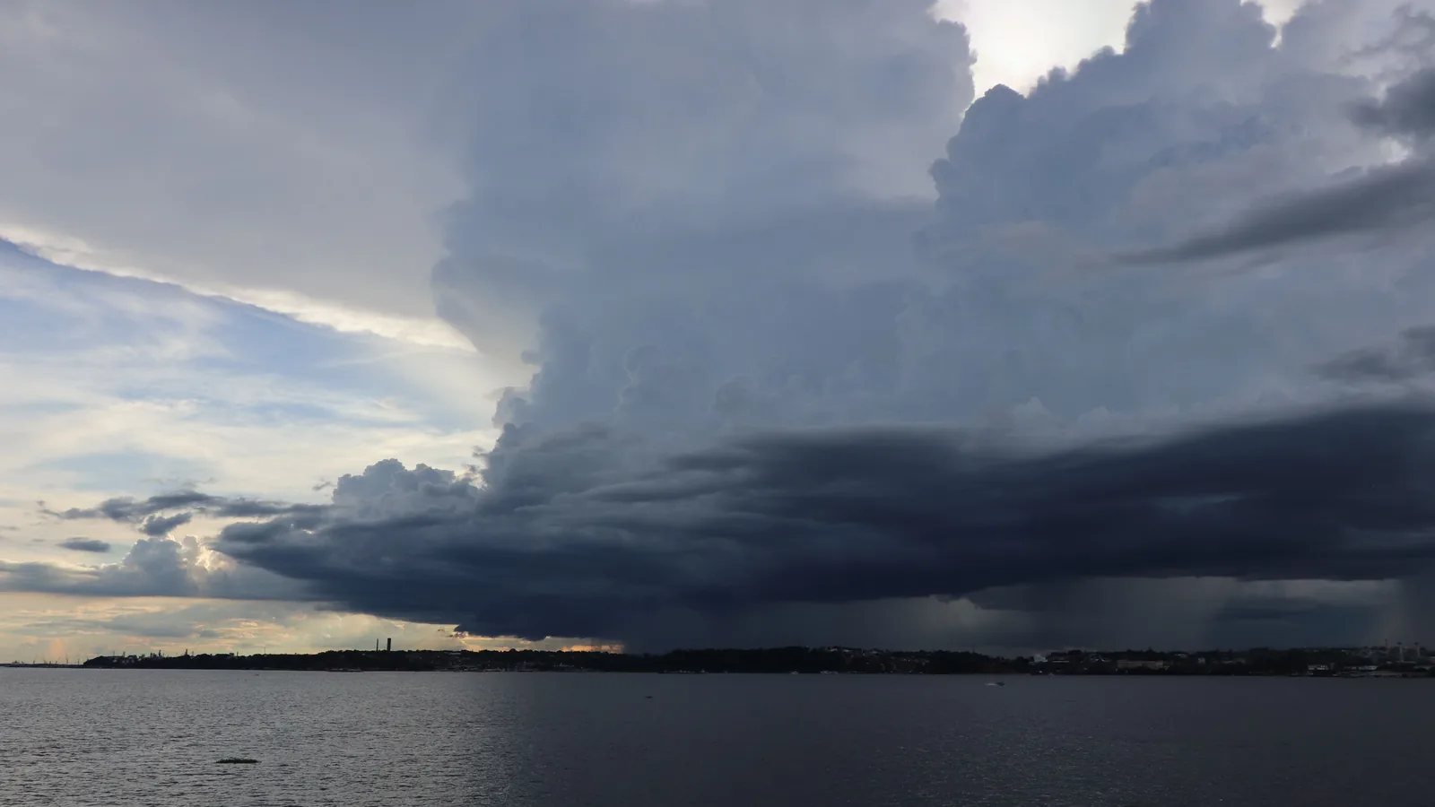 A tall storm cloud with rain falling from its base over open water and a low, flat shoreline